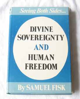 Image for Divine Sovereignty And Human Freedom