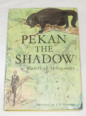 Image for Pekan The Shadow