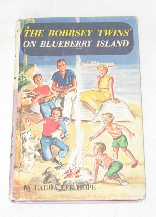 Image for The Bobbsey Twins On Blueberry Island