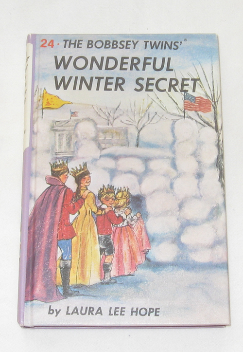 Image for The Bobbsey Twins Wonderful Winter Secret