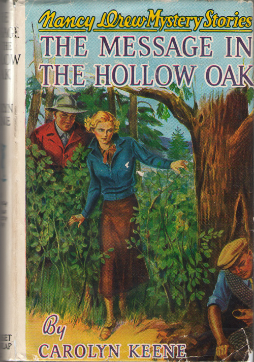 Image for The Message in the Hollow Oak