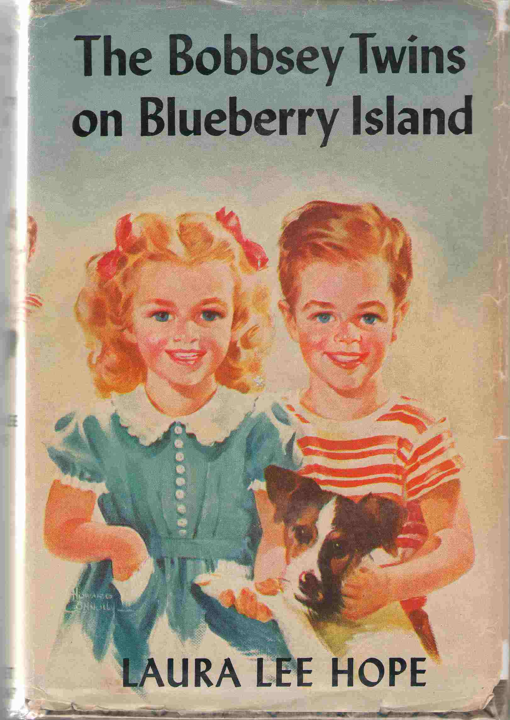 Image for The Bobbsey Twins On Blueberry Island