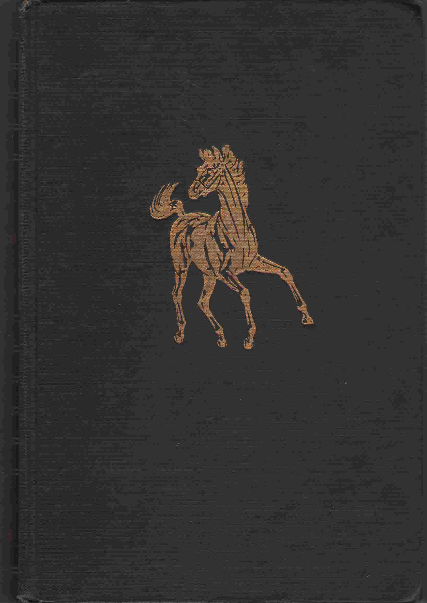 Image for Son of the Black Stallion