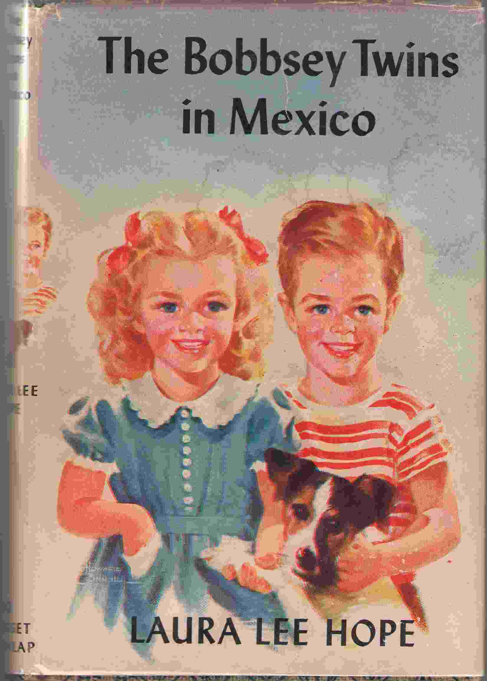 Image for The Bobbsey Twins In Mexico