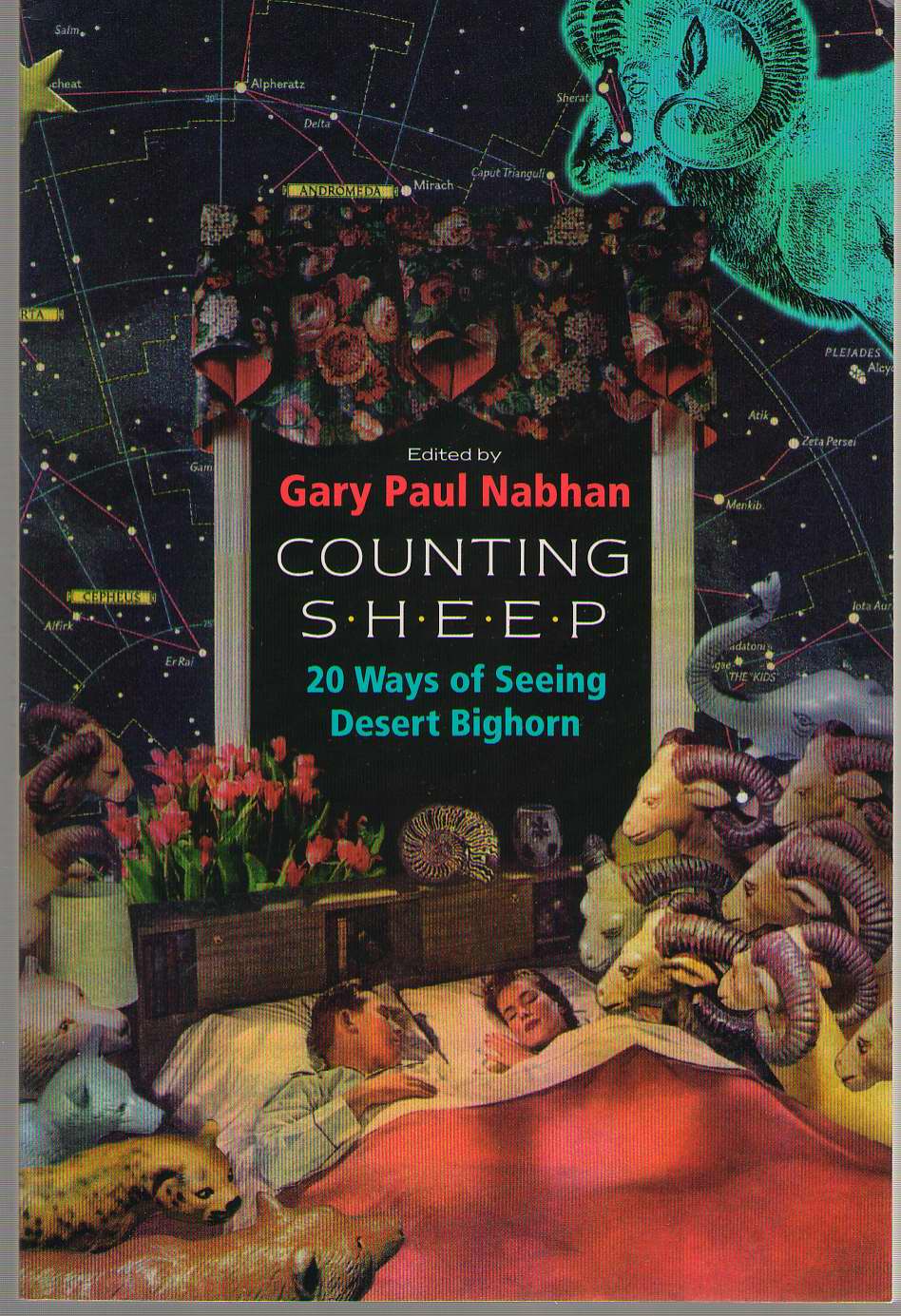 Image for Counting Sheep Twenty Ways of Seeing Desert Bighorn