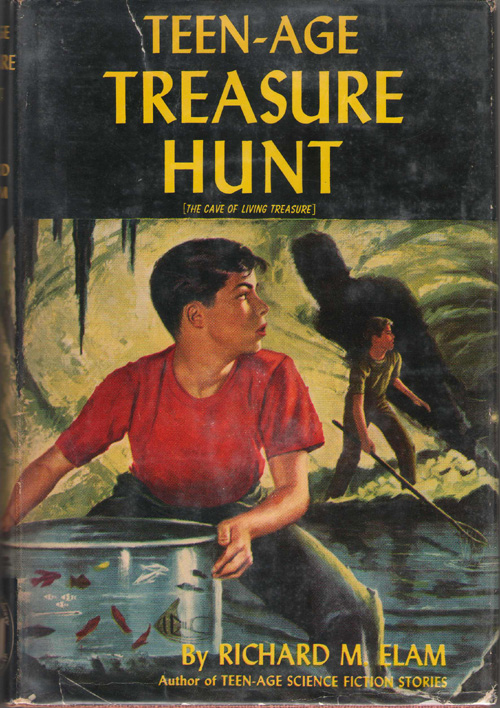 Image for Teen-Age Treasure Hunt