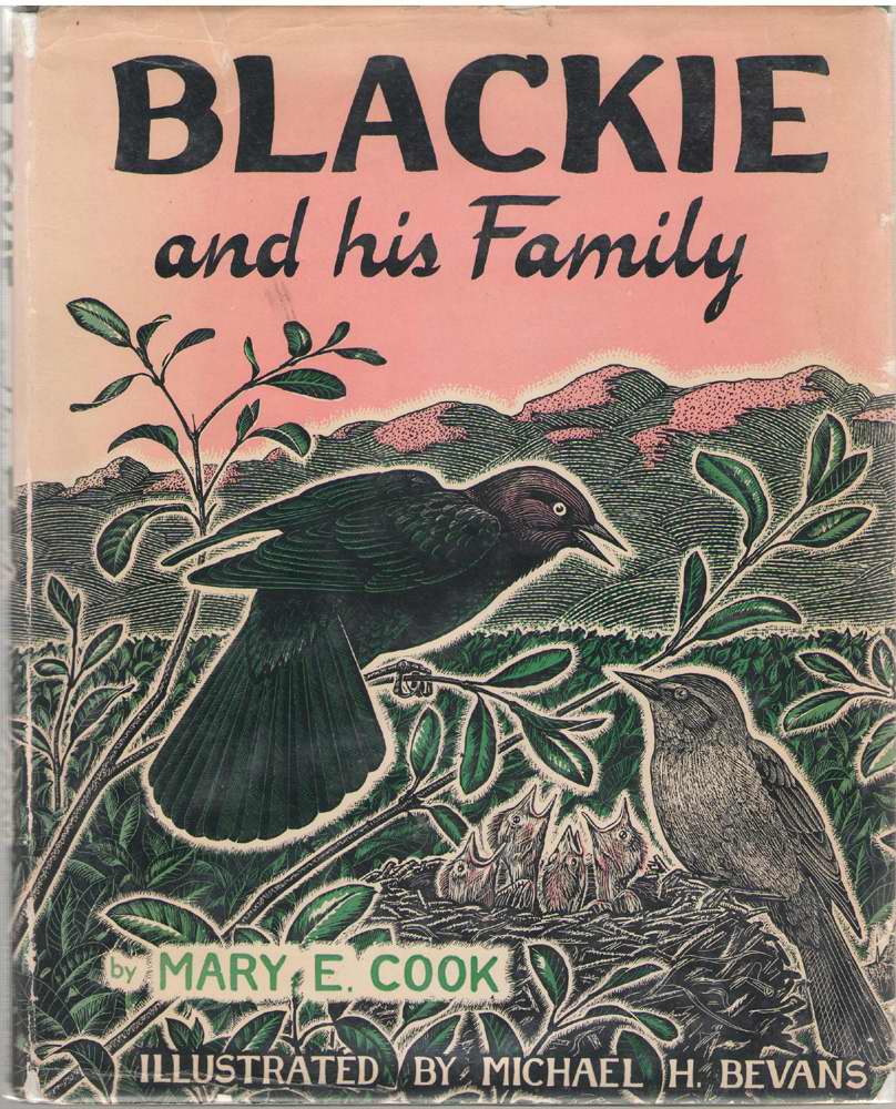 Image for Blackie And His Family