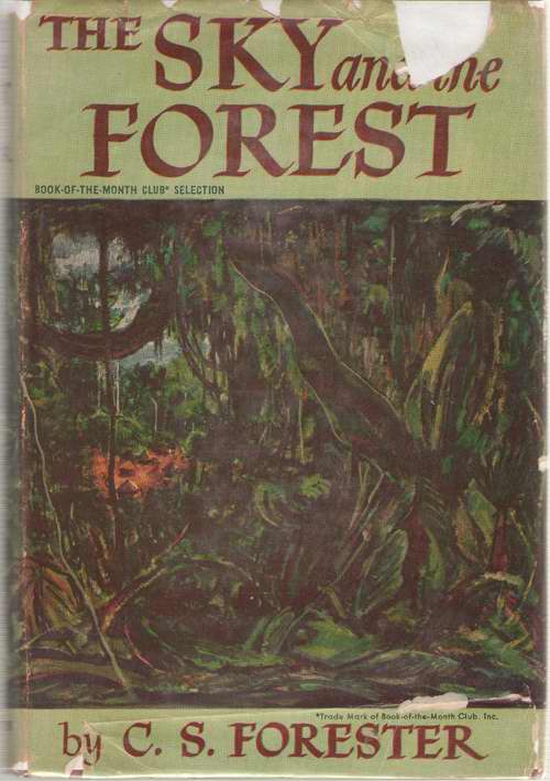 Image for The Sky And The Forest