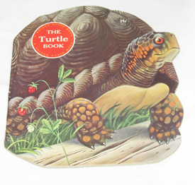 Image for The Turtle Book