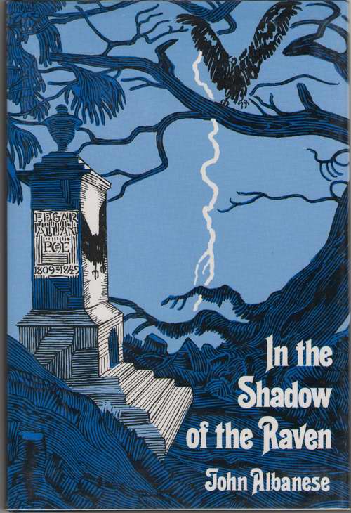Image for In the Shadow of the Raven