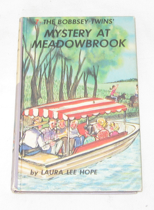 Image for The Bobbsey Twins Mystery At Meadowbrook