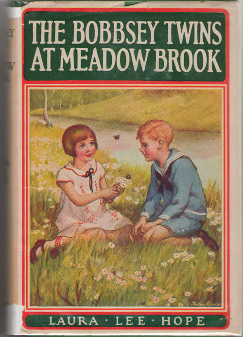 Image for The Bobbsey Twins At Meadow Brook