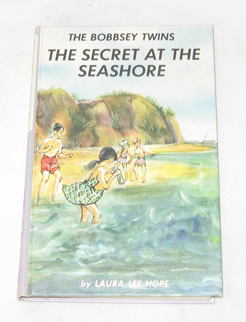 Image for The Bobbsey Twins: The Secret At The Seashore