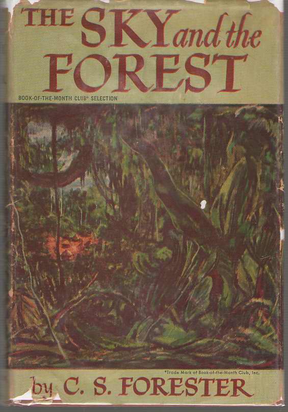 Image for The Sky And The Forest