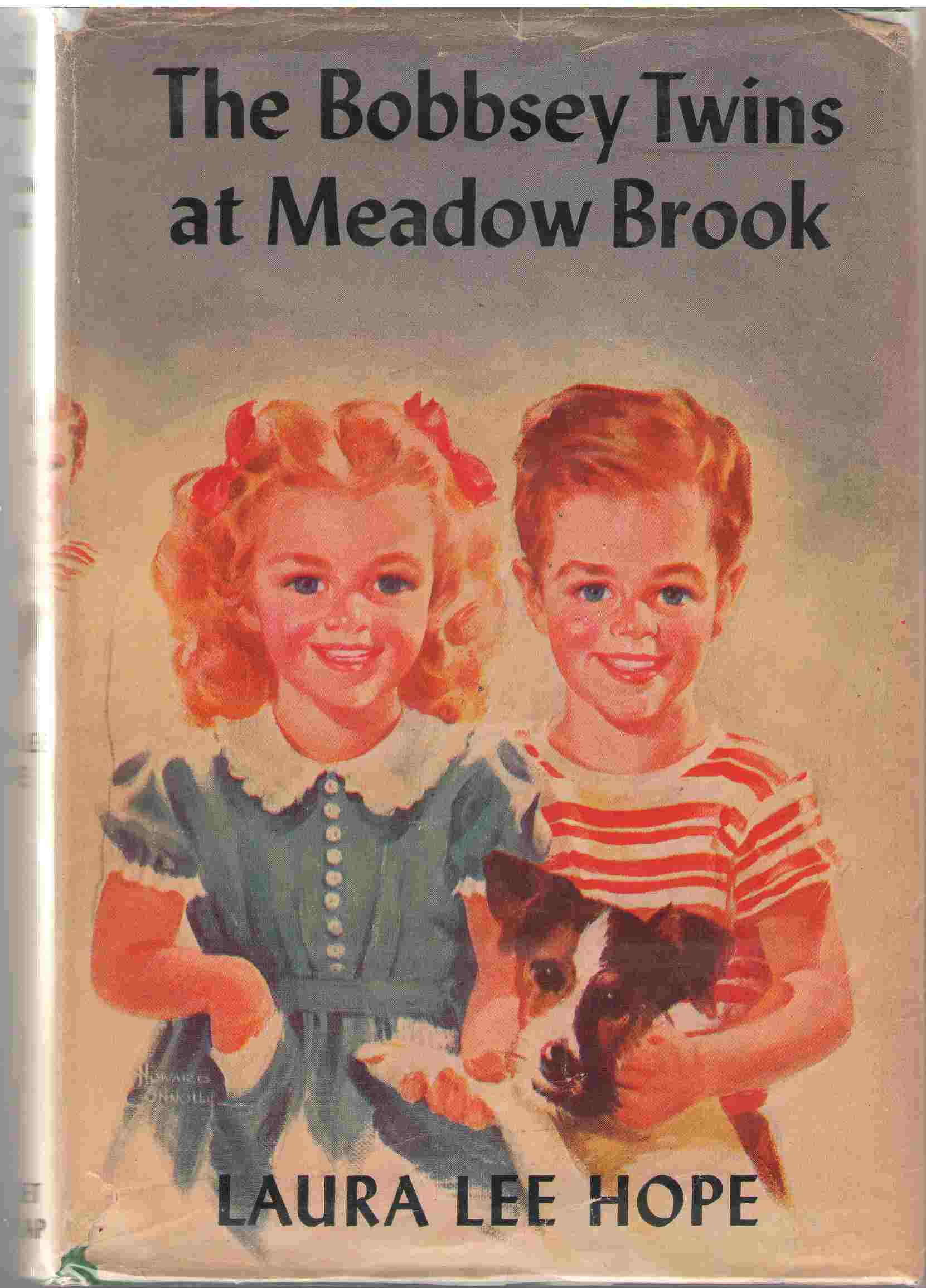 The Bobbsey Twins At Meadow Brook Image for The Bobbsey Twins At Meadow Brook