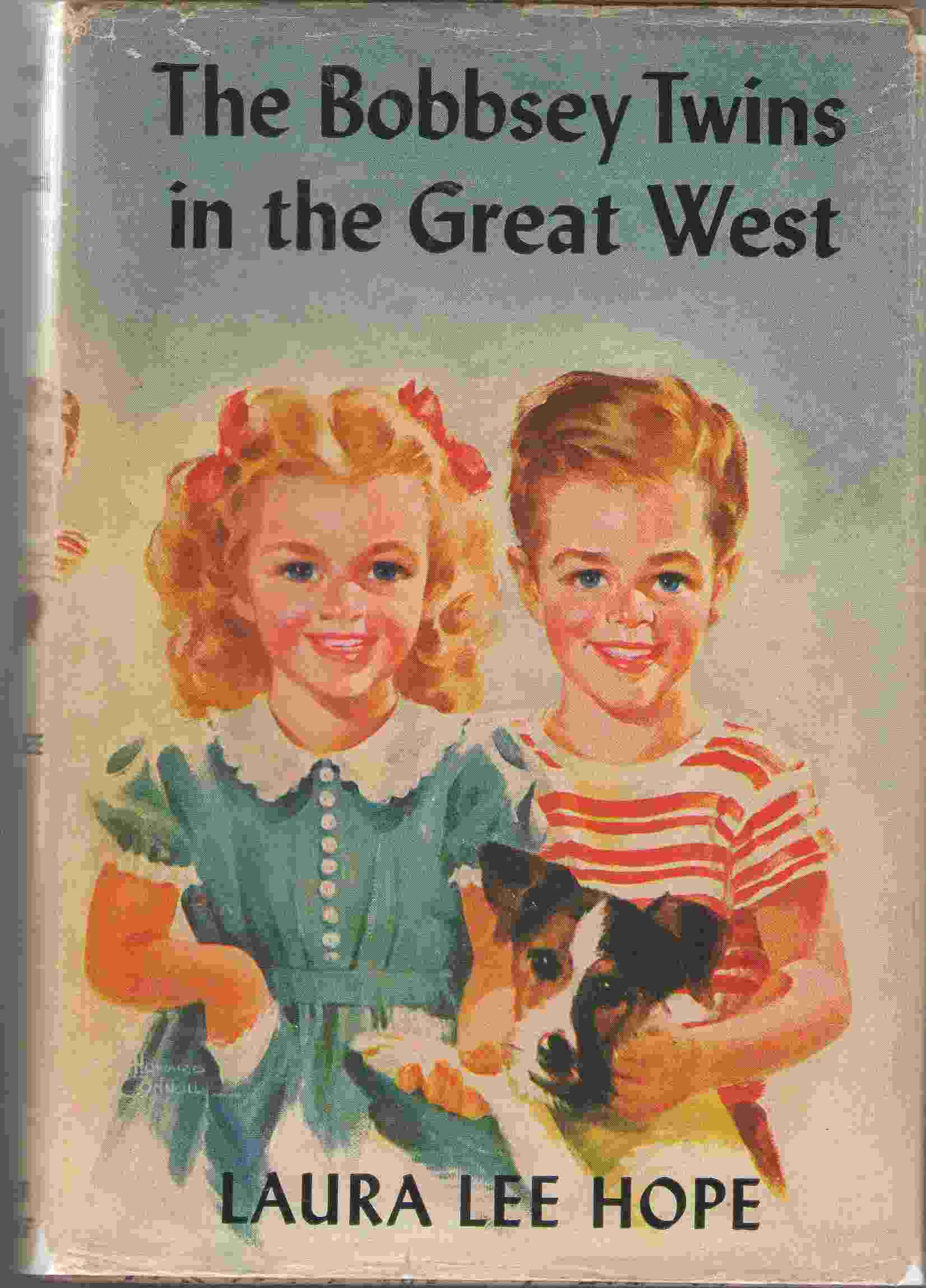 Image for The Bobbsey Twins In The Great West