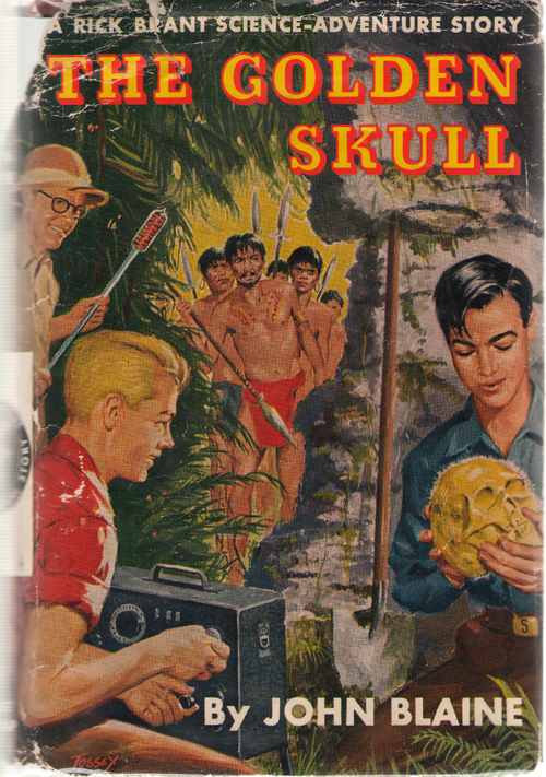 Image for The Golden Skull