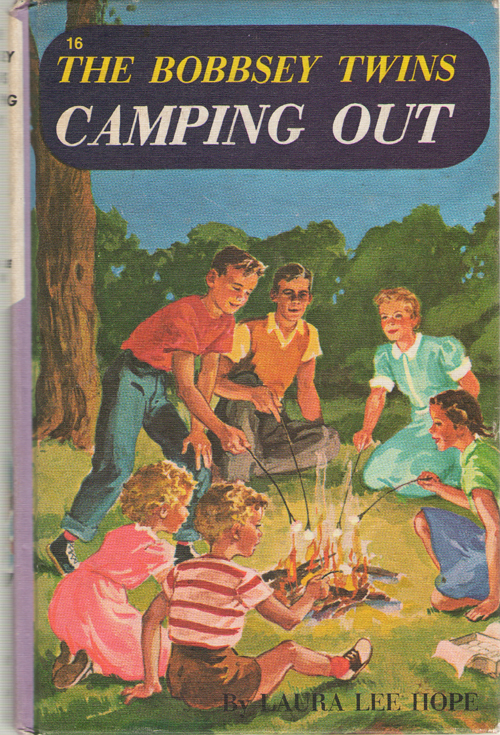 Image for The Bobbsey Twins Camping Out
