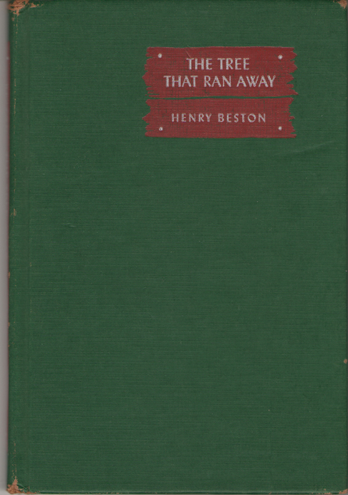 Image for The Tree That Ran Away