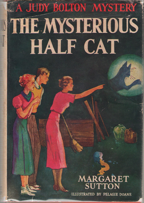 Image for The Mysterious Half Cat