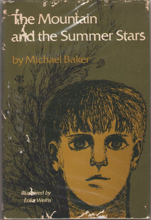 Image for The Mountain And The Summer Stars