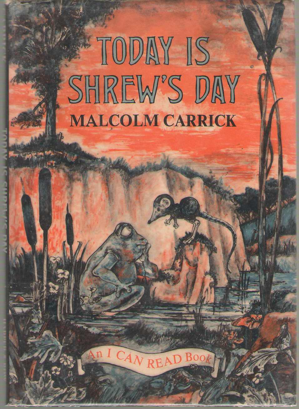 Image for Today Is Shrew's Day