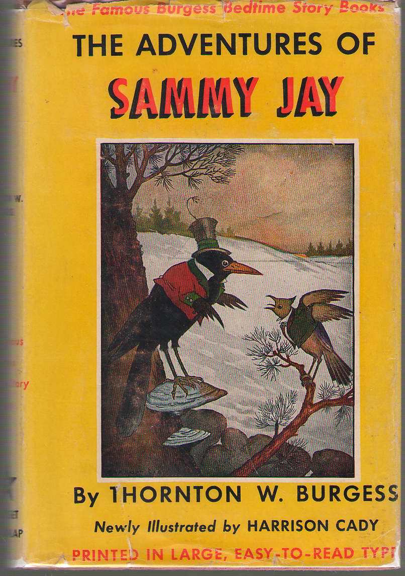 Image for The Adventures Of Sammy Jay