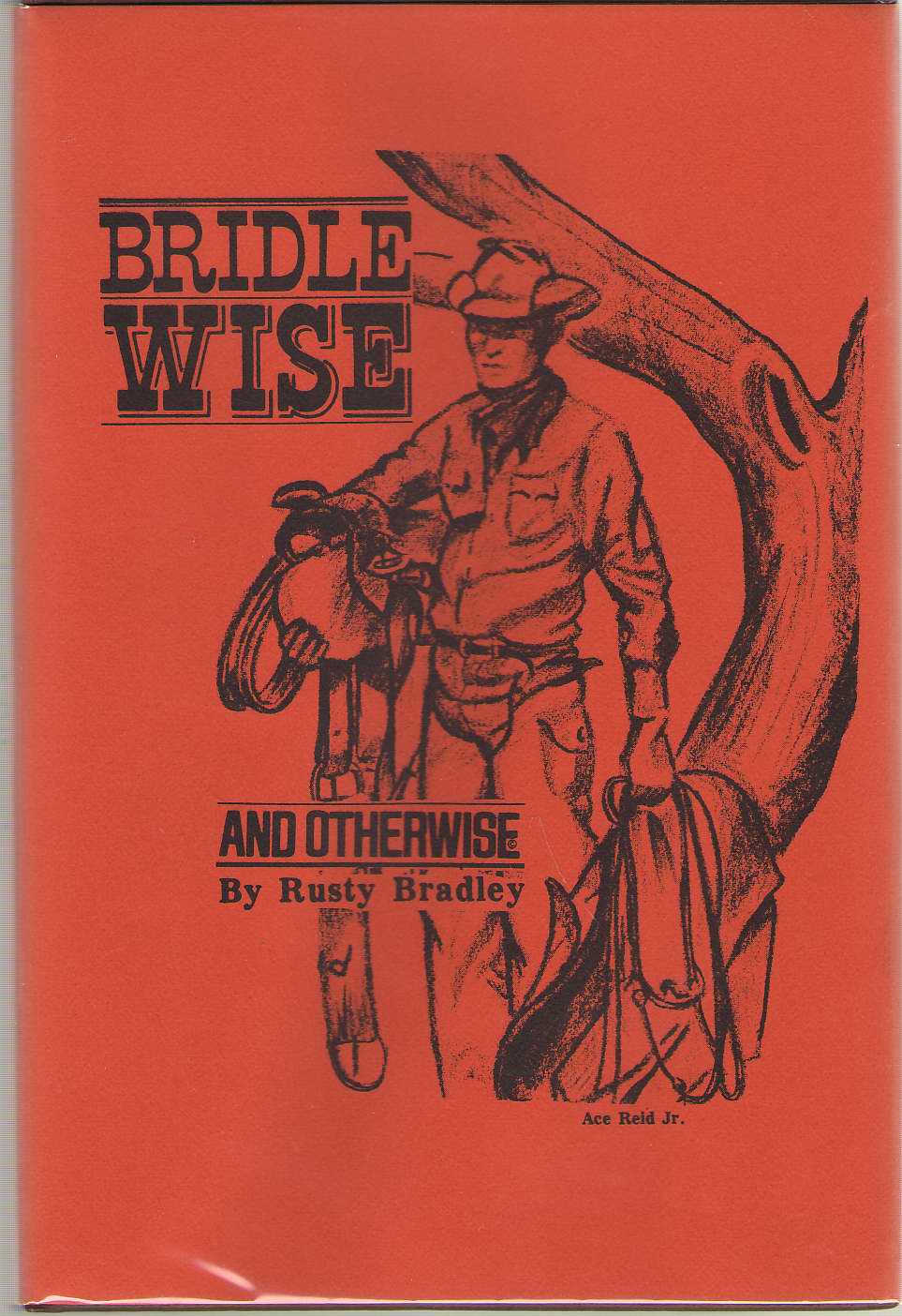 Image for Bridlewise And Otherwise