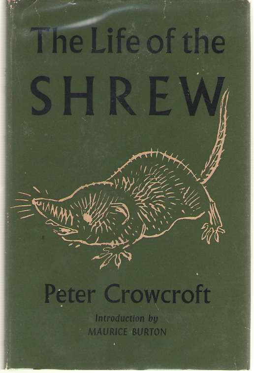 Image for The Life of the Shrew
