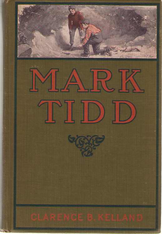 Mark Tidd His Adventures and Strategies Image for Mark Tidd His Adventures and Strategies