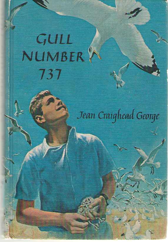 Image for Gull Number 737