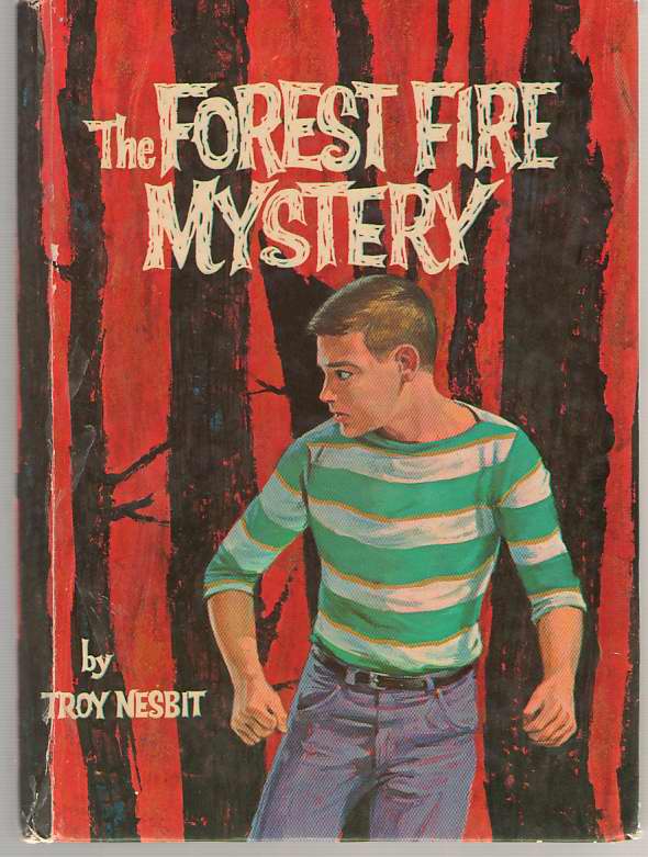 Image for The Forest Fire Mystery