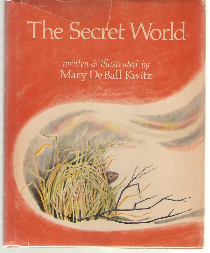 Image for The Secret World