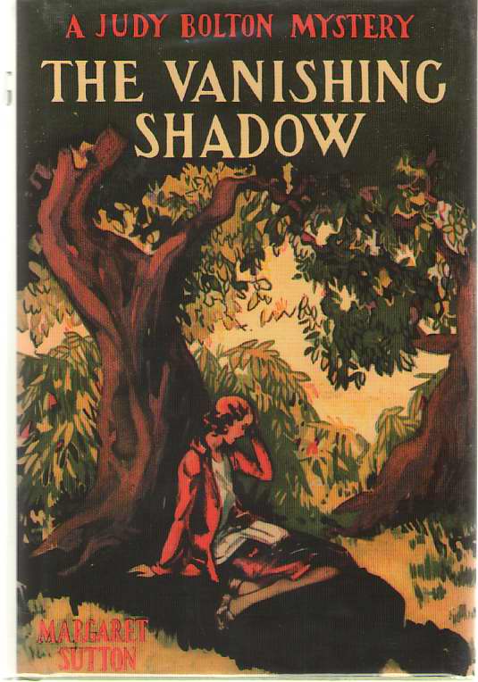 Image for Vanishing Shadow