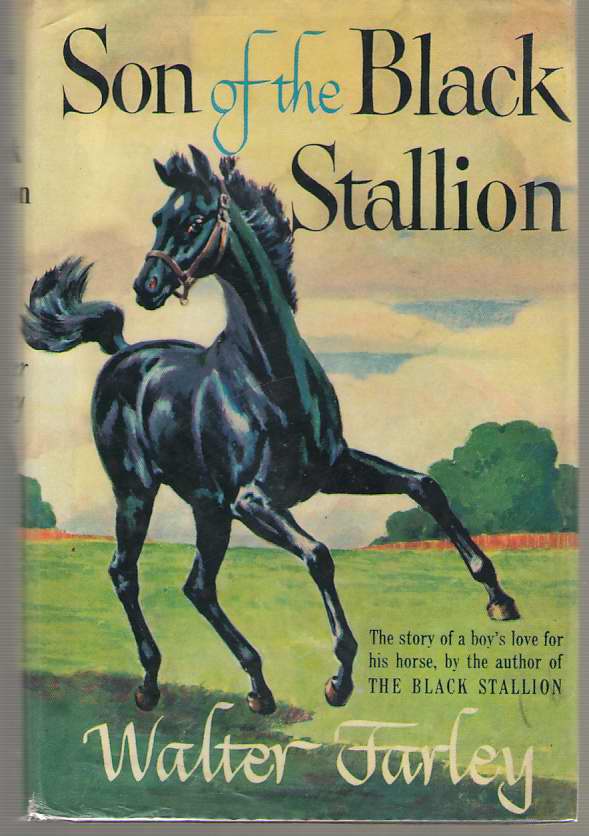 Image for Son of the Black Stallion