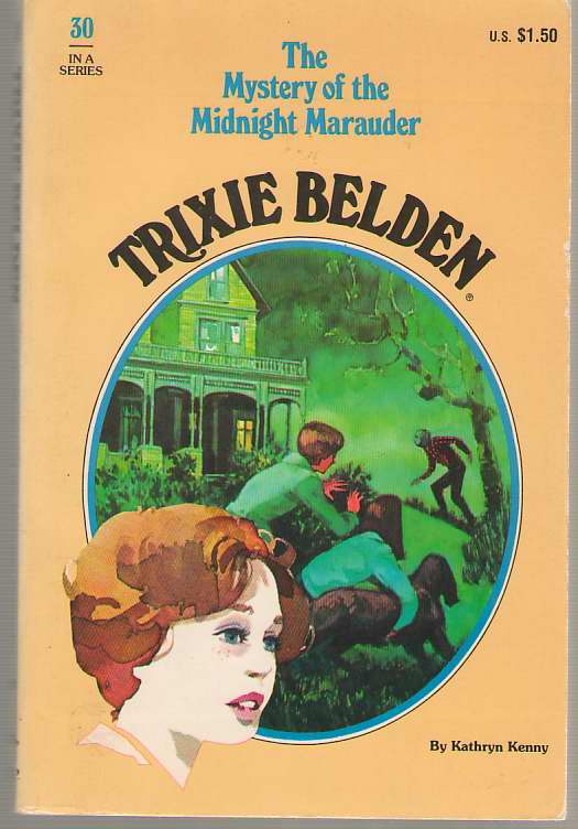 Image for The Mystery of the Midnight Marauder