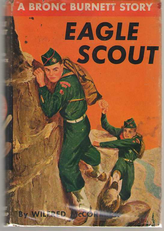 Image for Eagle Scout