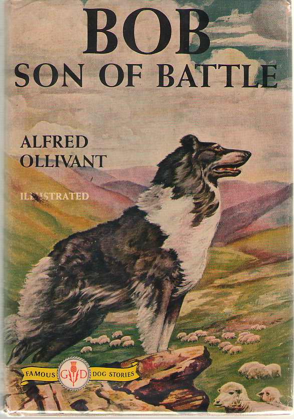 Image for Bob, Son Of Battle