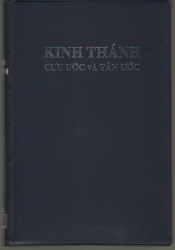 Image for Vietnamese Bible Cadmen Version