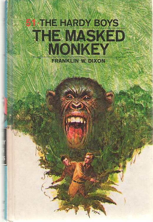 Image for The Masked Monkey