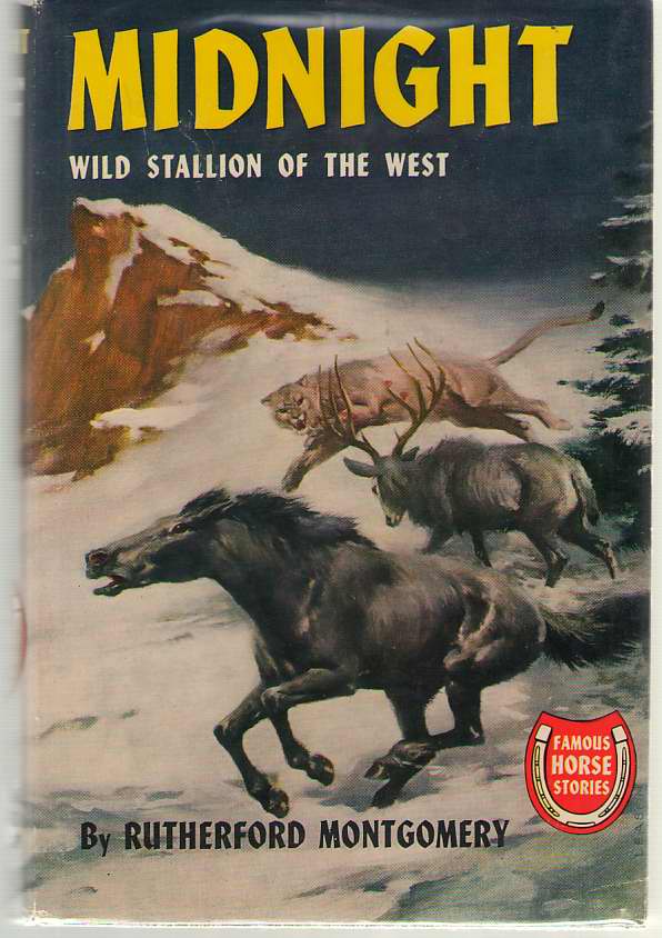 Image for Midnight Wild Stallion of the West