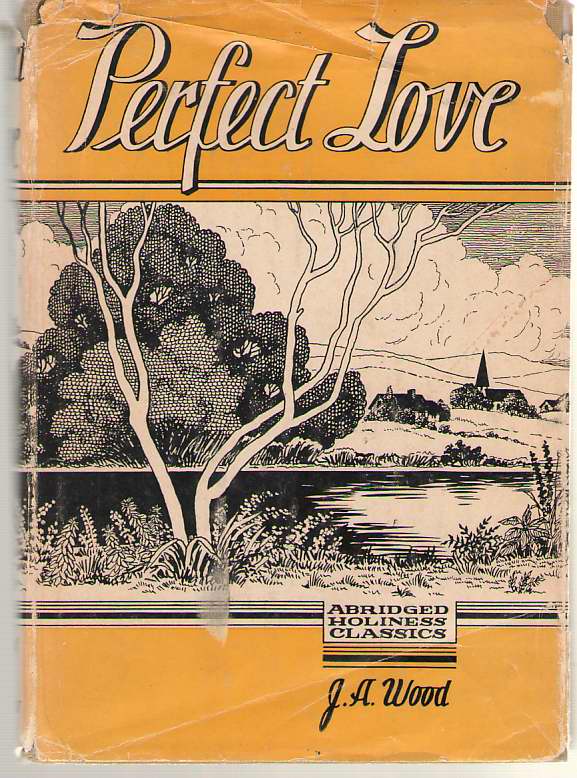 Image for Perfect Love