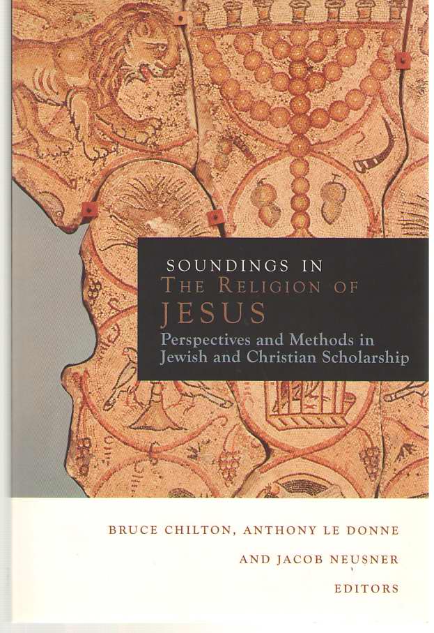 Image for Soundings in the Religion of Jesus Perspectives and Methods in Jewish and Christian Scholarship