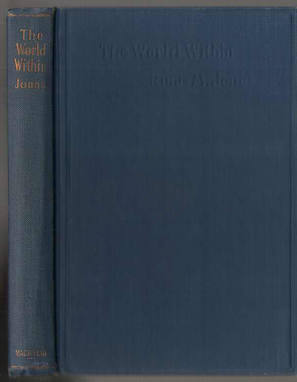 Image for The World Within