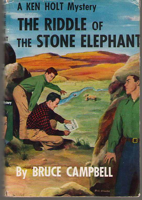 Image for The Riddle Of The Stone Elephant