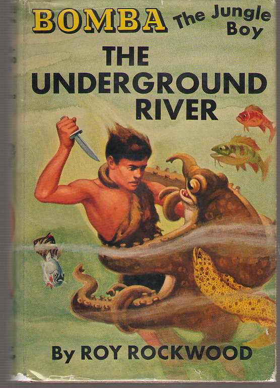 Image for Bomba the Jungle Boy on the Underground River