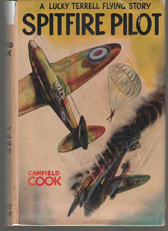 Image for Spitfire Pilot