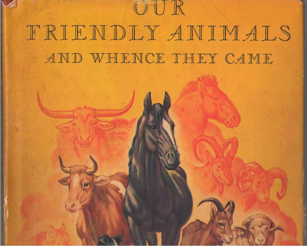 Image for Our Friendly Animals and Whence They Came