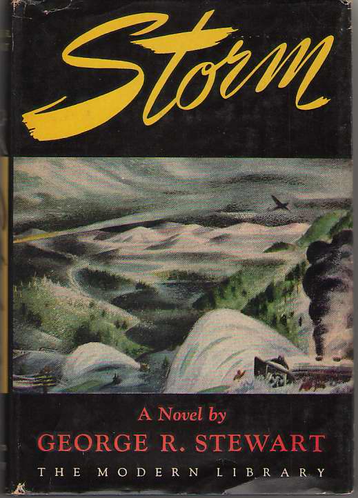 Image for Storm