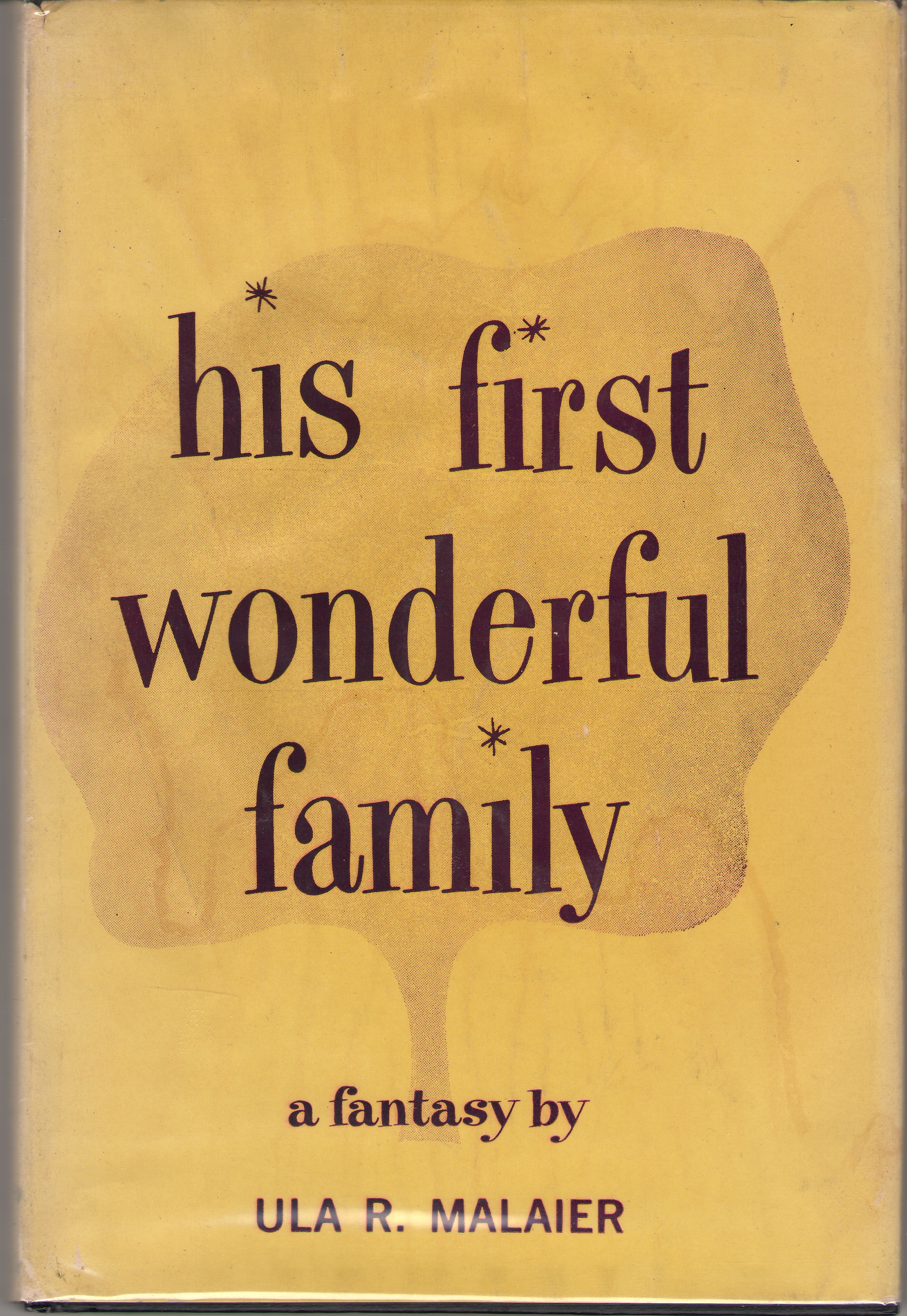 Image for His First Wonderful Family